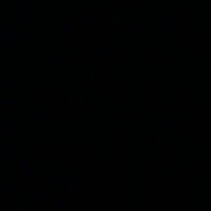 Meet your Posher, Ella